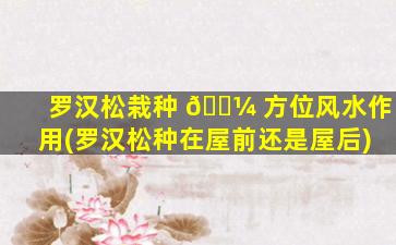罗汉松栽种 🌼 方位风水作用(罗汉松种在屋前还是屋后)
